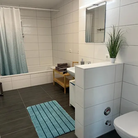 Apartamento Alina Sinsheim