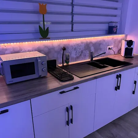 Apartamento Alina Sinsheim